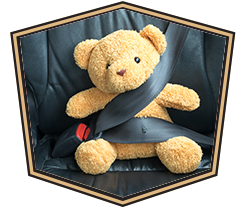 teddy bear strapped in seat belt 