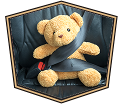 teddy bear strapped in seat belt
